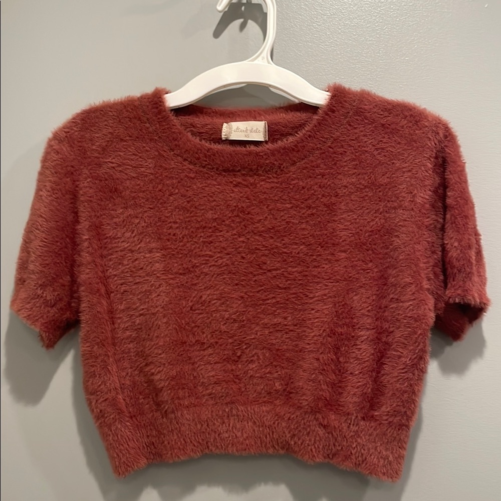 Altar’d State extra small, short sleeve cropped sweater